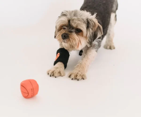 PlayPaws Interactive Chew Rope Toy
