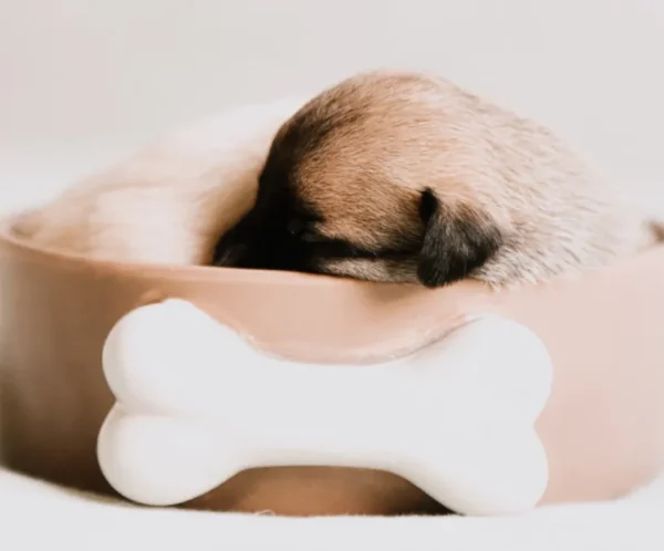 CloudNest Ultra-Soft Orthopedic Pet Bed