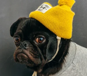 FurryFashion Adorable Panda Pet Costume